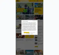 Kleine Seitenvorschau von adac.de