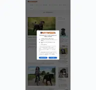 Kleine Seitenvorschau von rottweiler.de