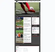 Kleine Seitenvorschau von bsv1892-fussball.de