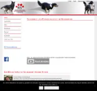 Kleine Seitenvorschau von rs-hundesportgeraete.de