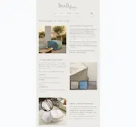 Kleine Seitenvorschau von holidesign.de