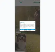 Kleine Seitenvorschau von horsecare24.de