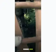 Seitenvorschau von kletterwald-baerenfalle.de