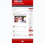 Kleine Seitenvorschau von fsv-fan.de