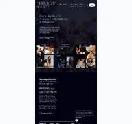 Kleine Seitenvorschau von moonlight-society.de