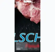 Kleine Seitenvorschau von fuelscher-wurst.de