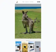Kleine Seitenvorschau von luckykangaroos.de