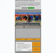Kleine Seitenvorschau von fuerstenfeld.de