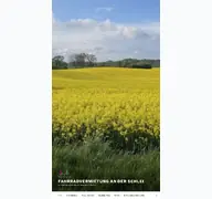 Kleine Seitenvorschau von schleiradgeber.de