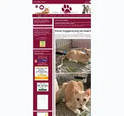 Kleine Seitenvorschau von samtpfotenhilfebruehl.de