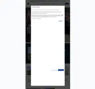 Kleine Seitenvorschau von 111wl.lions.de