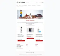 Kleine Seitenvorschau von ruth-online.de