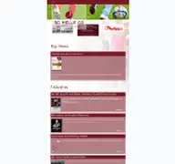 Kleine Seitenvorschau von fussball.scmelle.de