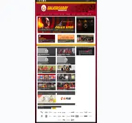 Kleine Seitenvorschau von galatasaray.org