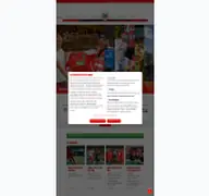 Kleine Seitenvorschau von rwo-online.de