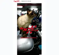 Kleine Seitenvorschau von homberg-motorradtechnik.de