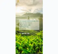 Kleine Seitenvorschau von 2017.teahouse.de