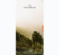 Kleine Seitenvorschau von gaelweiler-wein.de