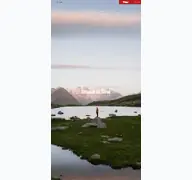 Kleine Seitenvorschau von tirol.at