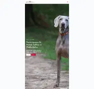 Kleine Seitenvorschau von pafvet.de