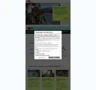 Kleine Seitenvorschau von focus-ebike.de