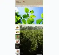 Kleine Seitenvorschau von martls-haselnuss-shop.de