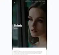 Kleine Seitenvorschau von galerie.weltkehrt.de