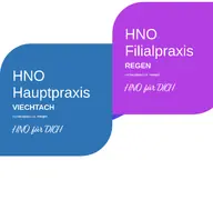 Kleine Seitenvorschau von hno-regen.de