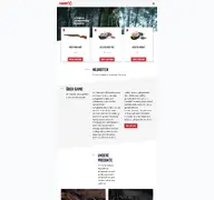 Kleine Seitenvorschau von gamo-airguns.de
