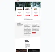 Kleine Seitenvorschau von gamo-airguns.de.dedi4020.your-server.de