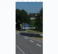 Kleine Seitenvorschau von gamshurst.de