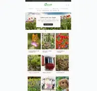 Kleine Seitenvorschau von gardenox-natur.de