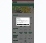 Kleine Seitenvorschau von steckschaum-produkte.de