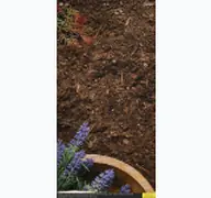 Kleine Seitenvorschau von gartenbuchpreis.de