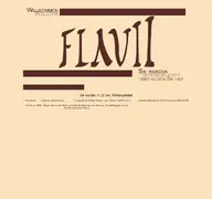 Kleine Seitenvorschau von flavii.de