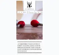 Kleine Seitenvorschau von schamanen-trommel.de