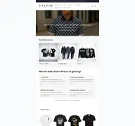 Kleine Seitenvorschau von salvinstore.at