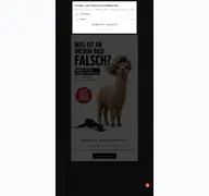 Kleine Seitenvorschau von modshair-karlsruhe.de