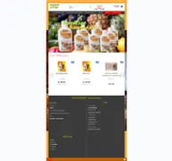 Kleine Seitenvorschau von saunafans-shop.de
