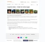 Kleine Seitenvorschau von shop.carptime.de
