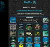 Kleine Seitenvorschau von starfish.ch