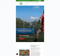 Kleine Seitenvorschau von rsv-seelze.de