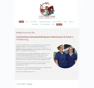 Kleine Seitenvorschau von ruhrtalpraxis.de