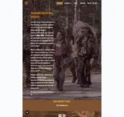 Kleine Seitenvorschau von rust-and-dust.de