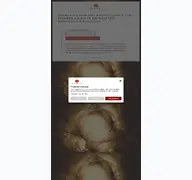 Kleine Seitenvorschau von ruu.de