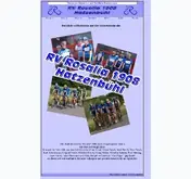 Kleine Seitenvorschau von rv-hatzenbuehl.de