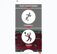 Kleine Seitenvorschau von scbv.de