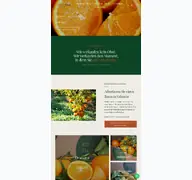 Kleine Seitenvorschau von citrusricus.com