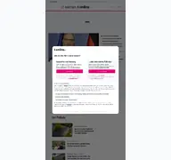 Kleine Seitenvorschau von aachen.t-online.de