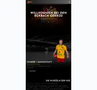 Kleine Seitenvorschau von hsg-eckbachtal.de